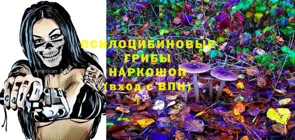 прущая мука Абаза