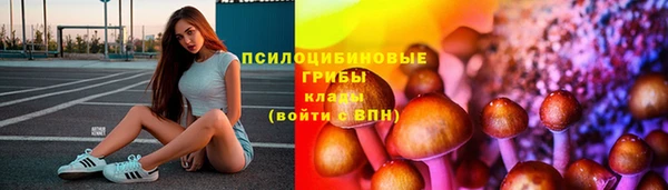 соль ск Алзамай