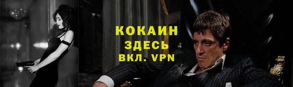 ПСИЛОЦИБИНОВЫЕ ГРИБЫ Михайлов