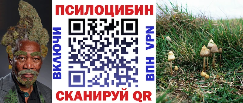 МЕГА это клад Галлюциногенные грибы мухоморы Саранск