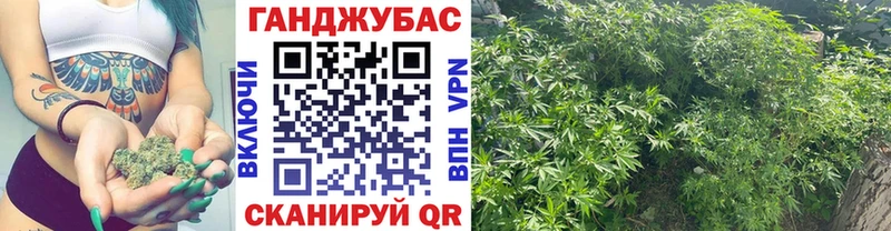 Канабис OG Kush  купить  цена  Саранск 